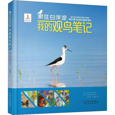 醉染图书家住白洋淀 我的观鸟笔记9787559561
