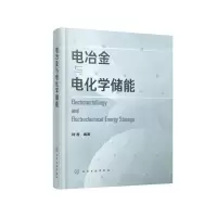 醉染图书电冶金与电化学储能9787124456