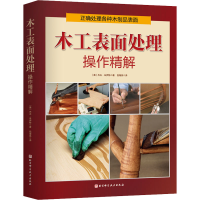 醉染图书木工表面处理操作精解9787571420