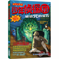 醉染图书被诅咒的宝石9787539570198