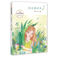 醉染图书捉迷藏的风9787537981163