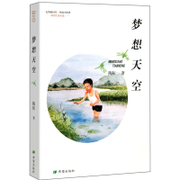 醉染图书梦想天空(精装)9787537981095