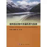 醉染图书堤坝基岩集中渗漏机理与探测97870306164