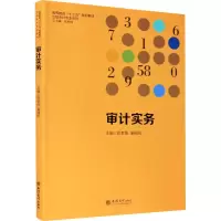 醉染图书审计实务9787542965219
