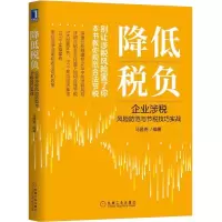 醉染图书降低税负 企业涉税风险防范与节税技巧实战9787111628279
