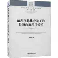 醉染图书治理现代化背景下的县级政策转换9787509675908