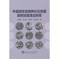 醉染图书中温碱焙烧钾长石资源高附加值清洁利用9787502487188
