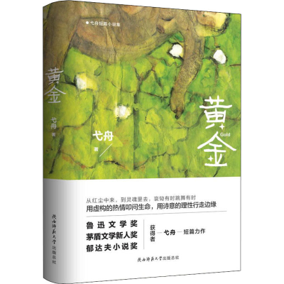 醉染图书黄金 弋舟短篇小说集9787569513110