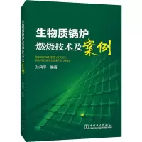 醉染图书生物质锅炉燃烧技术及案例97875150564