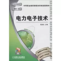 醉染图书力电技术9787111328513