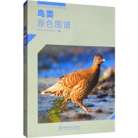 醉染图书鸟类原色图谱9787521901528