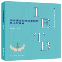 醉染图书综合能源服务技术框架及业务模式9787564220