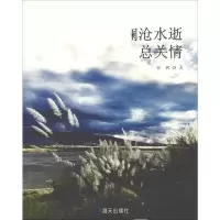 醉染图书澜沧水逝总关情9787550726604