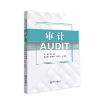 醉染图书审计/谭湘9787306070500