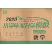 醉染图书名校培优 小学升学模拟试题精选 数学 202097875440445