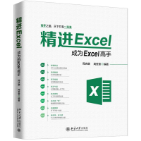醉染图书精进EXCEL:成为EXCEL高手9787301306390