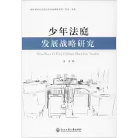 醉染图书少年法庭发展战略研究9787517834854