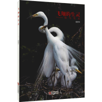 醉染图书飞翔的生灵9787543679795