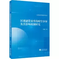 醉染图书区域融资效率的时空分异及其影响机制研究9787307222298