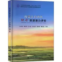 醉染图书内蒙古自治区铁矿资源潜力评价9787562546474