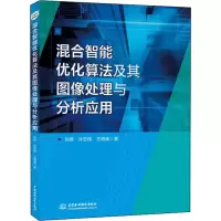 醉染图书混合智能优化算法及其图像处理与分析应用9787517086574