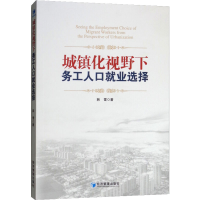 醉染图书城镇化视野下务人就业选择9787509665817