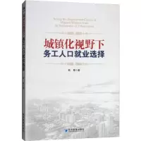 醉染图书城镇化视野下务人就业选择9787509665817