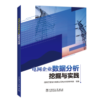 醉染图书电网企业数据分析挖掘与实践9787519850715