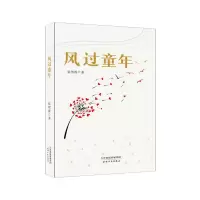 醉染图书风过童年9787201165714