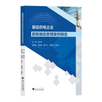 醉染图书基层供电企业薪酬激励管理案例精选9787308226950