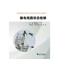醉染图书输电线路状态检修9787308212090