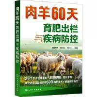 醉染图书肉羊60天育肥出栏与疾病防控9787127141