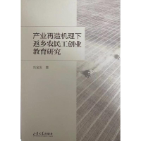 醉染图书产业再造机理下返乡农民工创业教育研究9787560769271