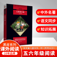 醉染图书大林和小林/中小学生阅读文库(全新修订版)9787559630933