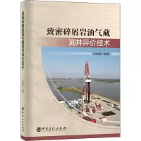 醉染图书致密碎屑岩油气藏测井评价技术9787511466006