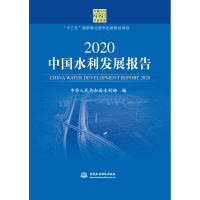 醉染图书2020中国水利发展报告9787517085089