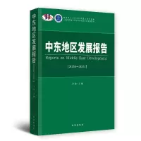 醉染图书中东地区发展报告·2020-20219787519504342