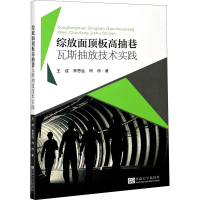 醉染图书综放面顶板高抽巷瓦斯抽放技术实践9787564191405