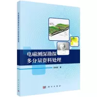 醉染图书电磁测深勘探多分量资料处理9787030657466