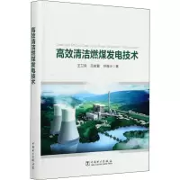 醉染图书高效清洁燃煤发电技术9787519827151