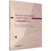 醉染图书几何分析综述(2021)(英文版)9787030727