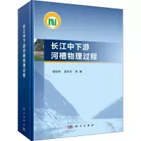 醉染图书长江中下游河槽物理过程9787030682413