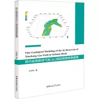 醉染图书四川盆地新场气田JS22储层精细地质建模9787569273571