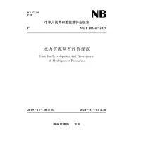 醉染图书水力资源调查评价规范(NB/T10334-2019)155170717