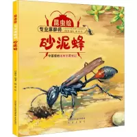 醉染图书专业麻醉师 砂泥蜂9787541765759