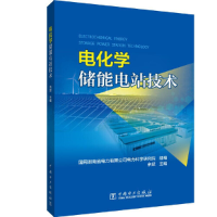 醉染图书电化学储能电站技术9787519862848
