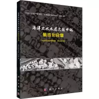 醉染图书海洋出水木质文物中的硫铁化合物9787030658654