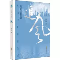 醉染图书追风9787539671338