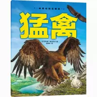 醉染图书猛禽9787557878207