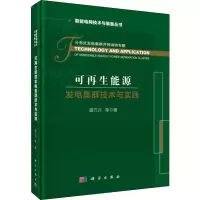 醉染图书可能源发电集群技术与实践9787030615602